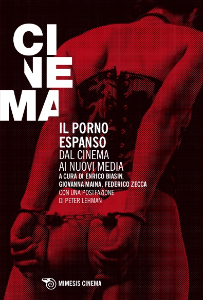 Il porno espanso - Dal cinema ai nuovi media, Mimesis Edizioni 
