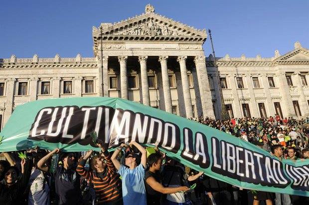 "Legalizzazione della canapa in Uruguay"