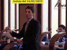Luca Di Egidio (PD) - Seduta del Consiglio Municipale Roma VII del 14/03/2019