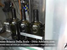 Beniamino Sciacca Della Scala - Cantina Petrania