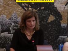Elena De Santis - Seduta del Consiglio Municipale Roma VII del 15/06/2018
