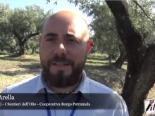 Intervista a Ivan Arella - I sentieri dell'Olio - Cleto (Cs) 