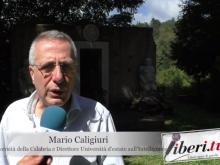 Mario Caligiuri - Seconda Università d'estate sull'Intelligence  