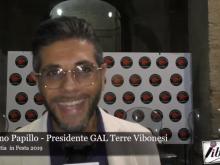 Intervista a Vitaliano Papillo - Vibo Valentia in Festa 2019
