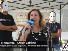 Emilia Mezzatesta - La Pro Loco: sviluppo locale e ruolo nel Terzo Settore