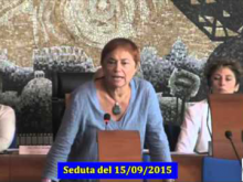 Seduta del Consiglio Municipale Roma VII del 15/09/2015