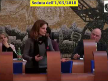 Seduta del Consiglio Municipale Roma VII dell'1/03/2018