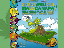 MalaCANAPA? - Giuseppe Nicosia presenta la Prima Fiera della Canapa in Sicilia (Edizione 2015 Catania)