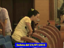 Seduta del Consiglio Municipale Roma VII del 23/07/2015