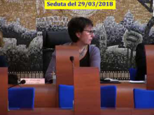 Seduta del Consiglio Municipale Roma VII del 29/03/2018