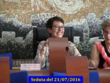 Seduta del Consiglio Municipale Roma VII del 21/07/2016