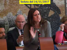 Seduta del Consiglio Municipale Roma VII del 14/11/2017