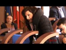 Seduta del Consiglio Municipale Roma VII del 21/02/2014