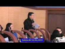 Seduta del Consiglio Municipale Roma VII del 12/02/2015 Parte 1 di 2