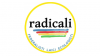 Roma 2016 - Riccardo Magi  - Lista "radicali"