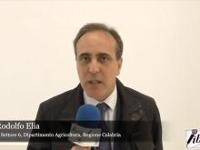  Intervista a Rodolfo Elia - La castanicoltura calabrese