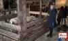 Il Presepe Vivente di Scigliano (Cs) - XVI Edizione