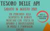 Invito - Escursione da Serracastagna al Tesoro delle api - 14 Agosto 2021